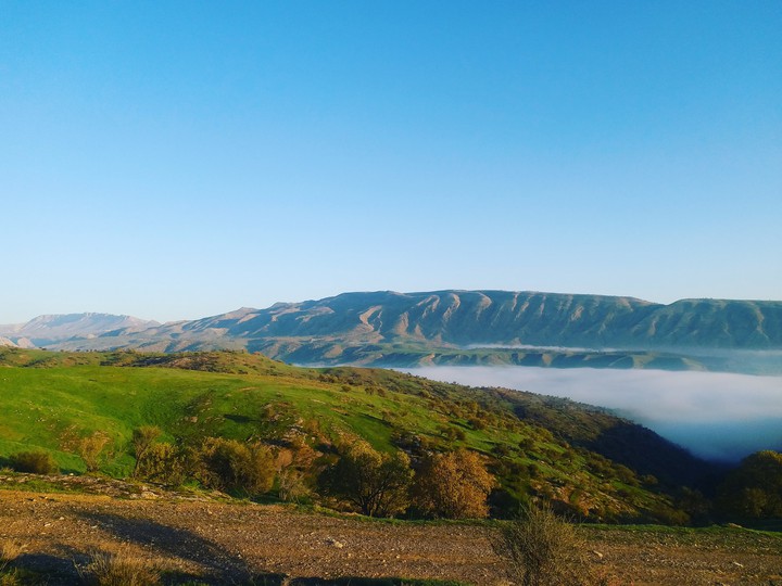 ilam.badreh.jaber