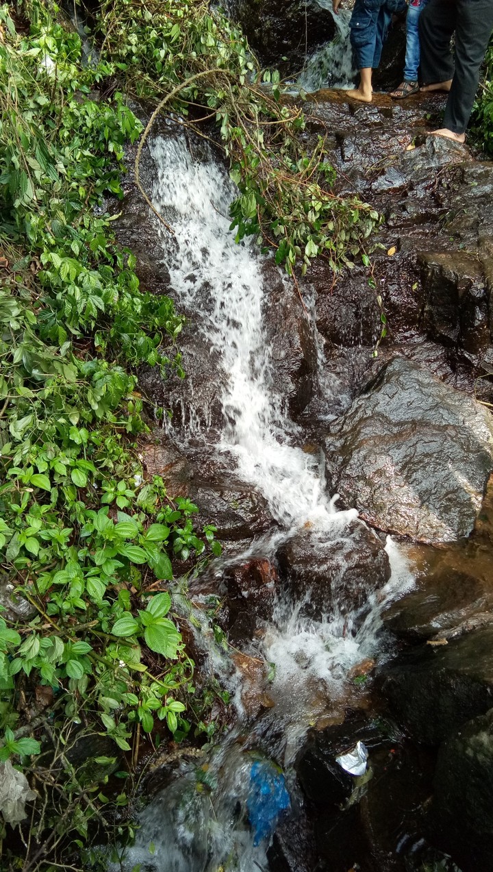 Nature