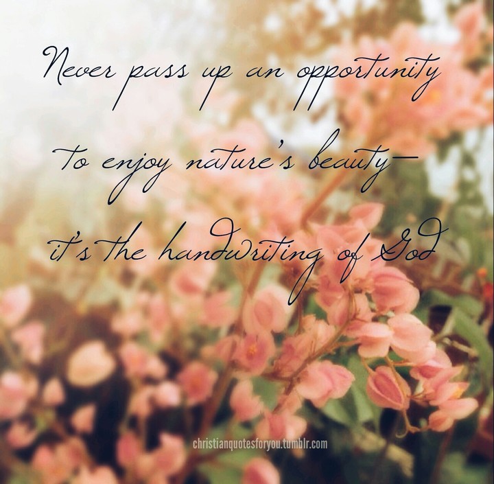 Enjoy your surroundings