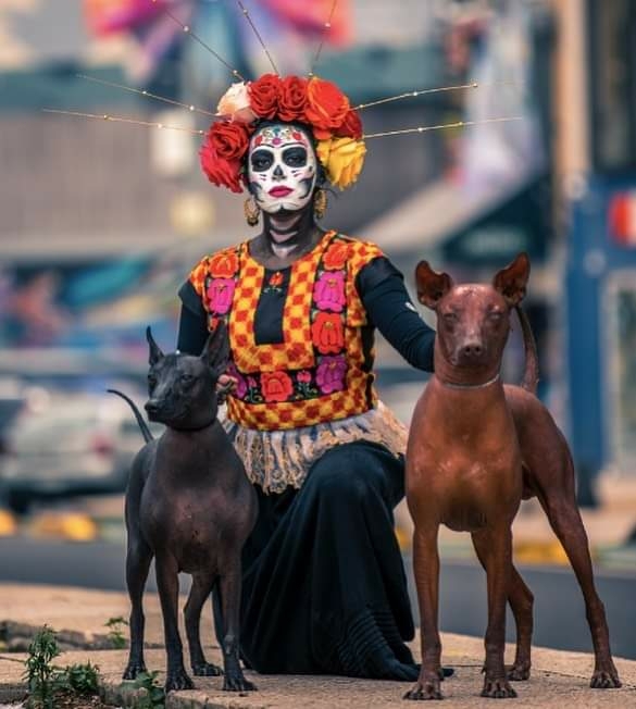 catrina