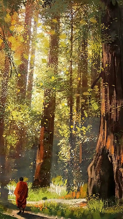 forest