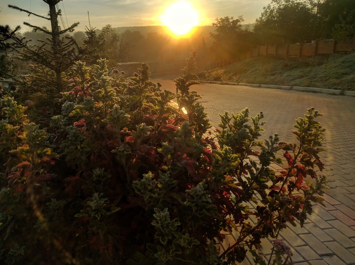 Sunrise