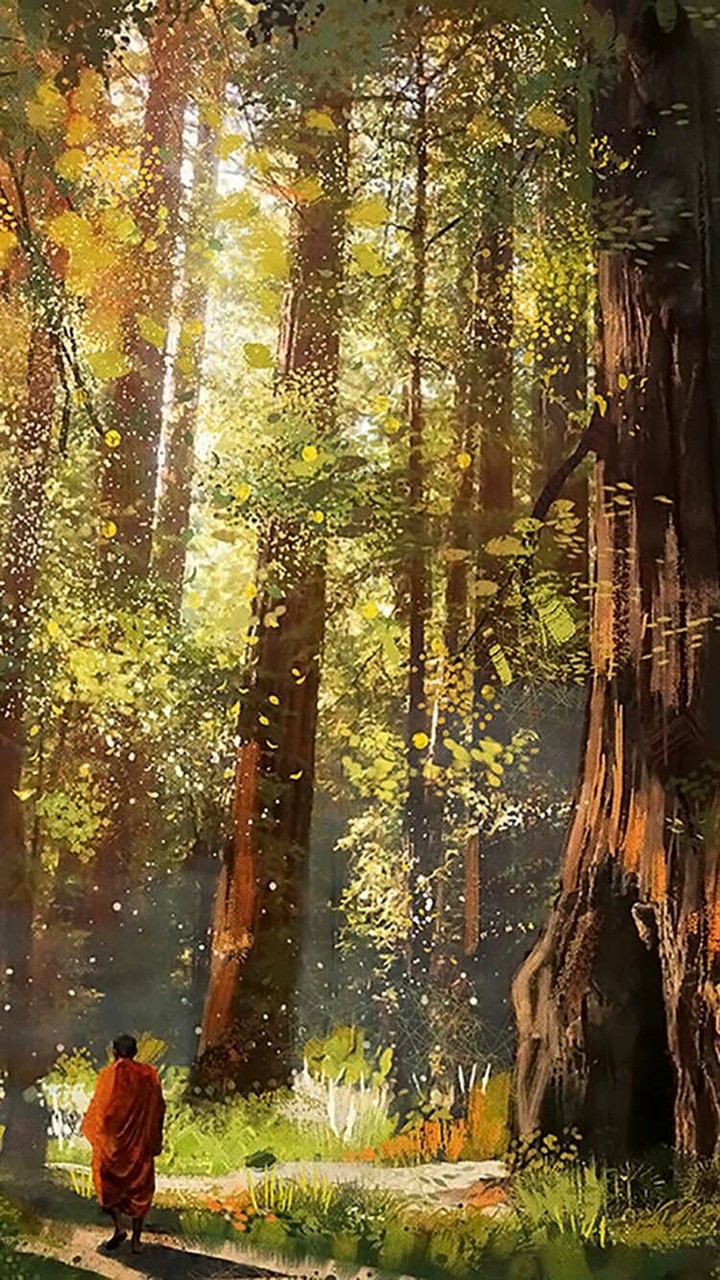 forest