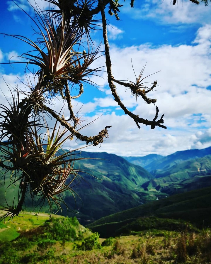 amazonas Perú