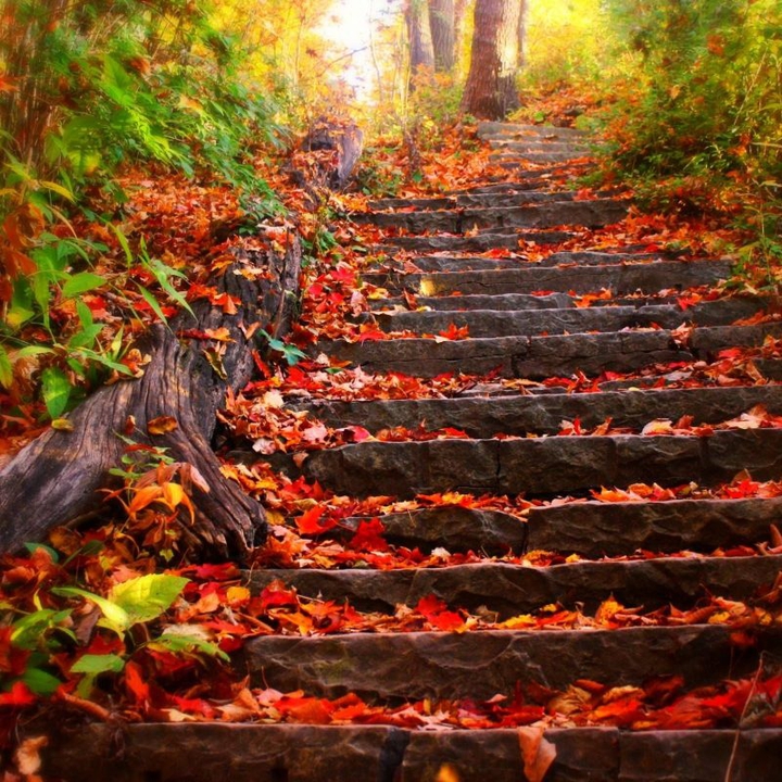 autaum stairs