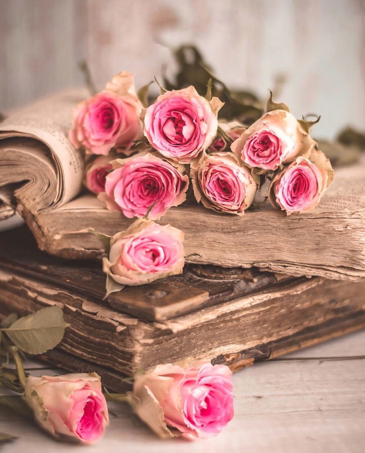 Roses