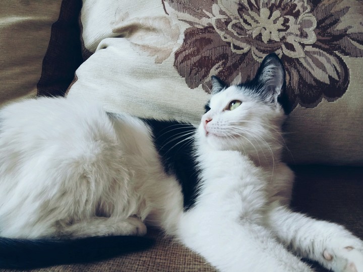 My love))