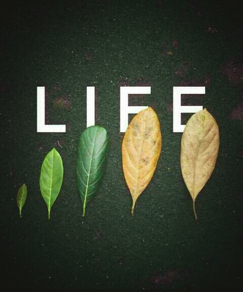 Its life