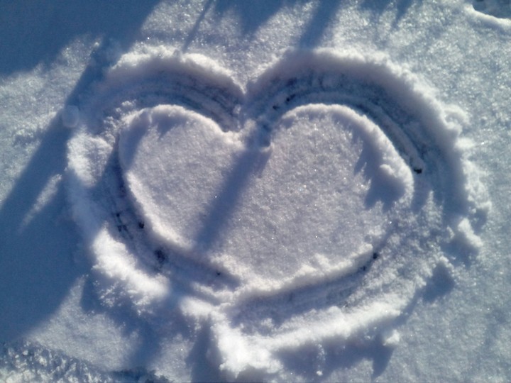 Snowy heard