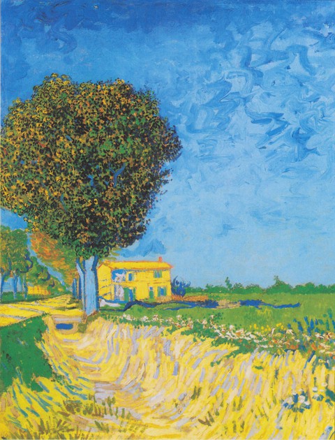 Lane to the House