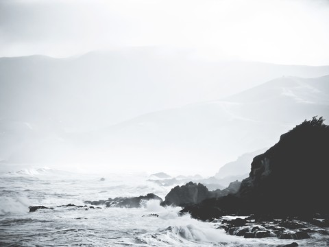 Monochrome Waves