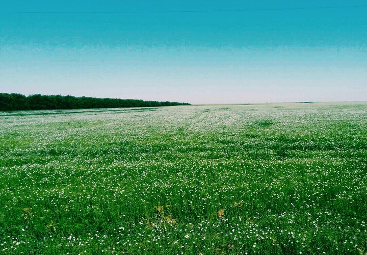 Nature