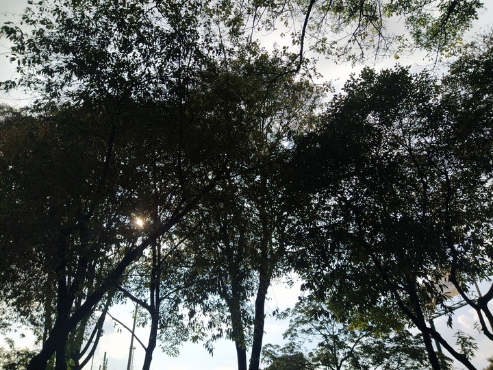 atardecer