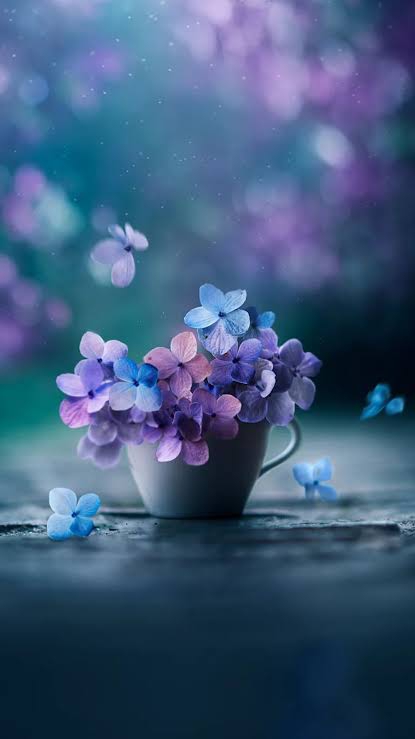 flowers in a pot