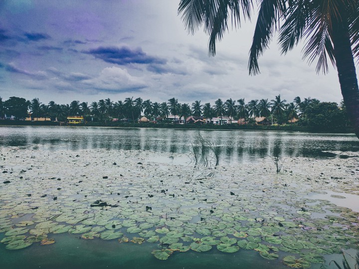 Nature Waterlake