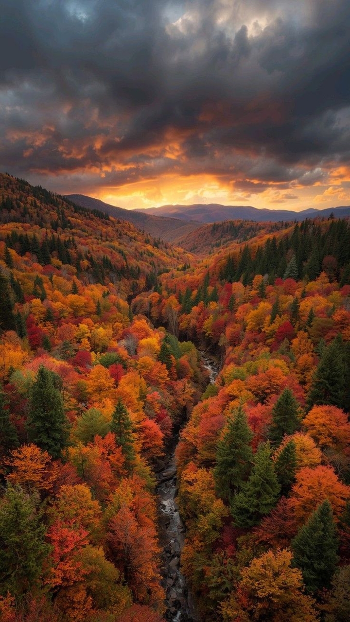 خلفيات valley, Wilderness