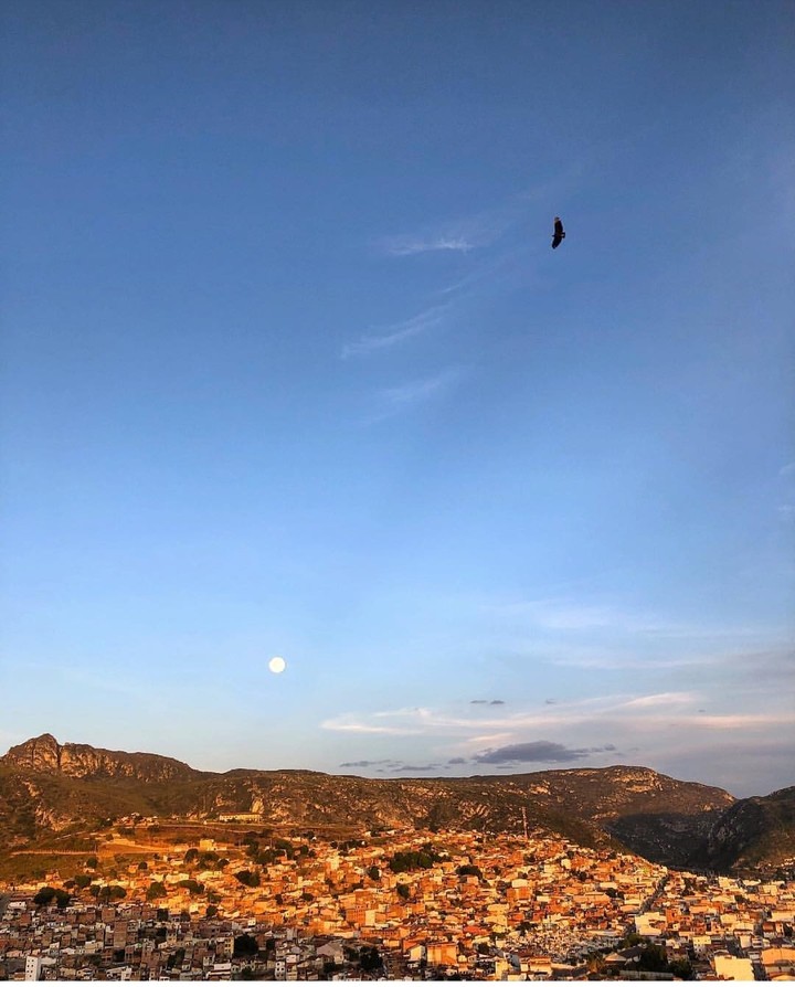 Um pássaro voa solitário na imensidão do céu!
