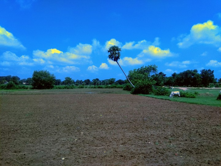 village