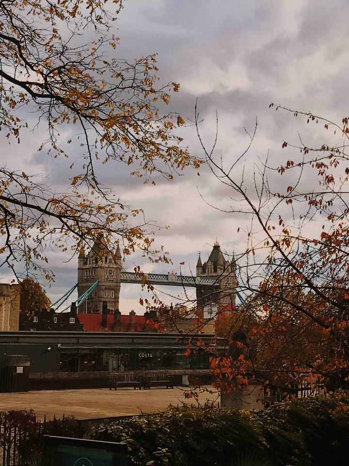 Beautiful London and Tower Bridge