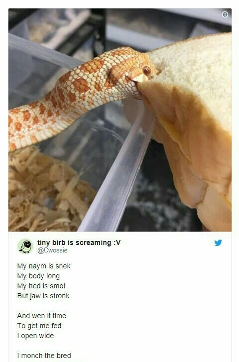 .