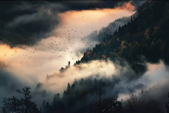 my photography on 500px
