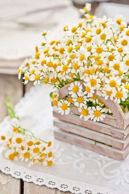 I love Flowers