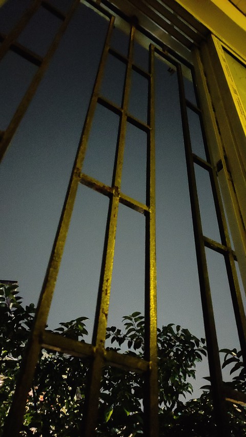 night view
