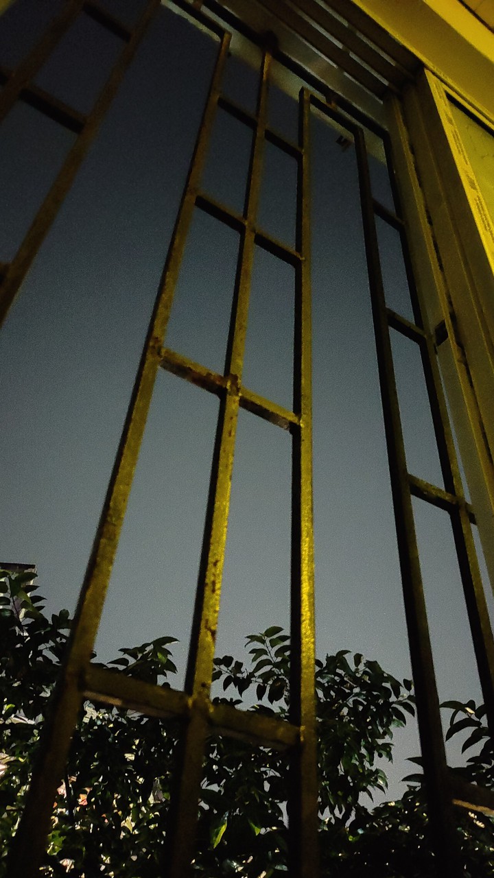 night view