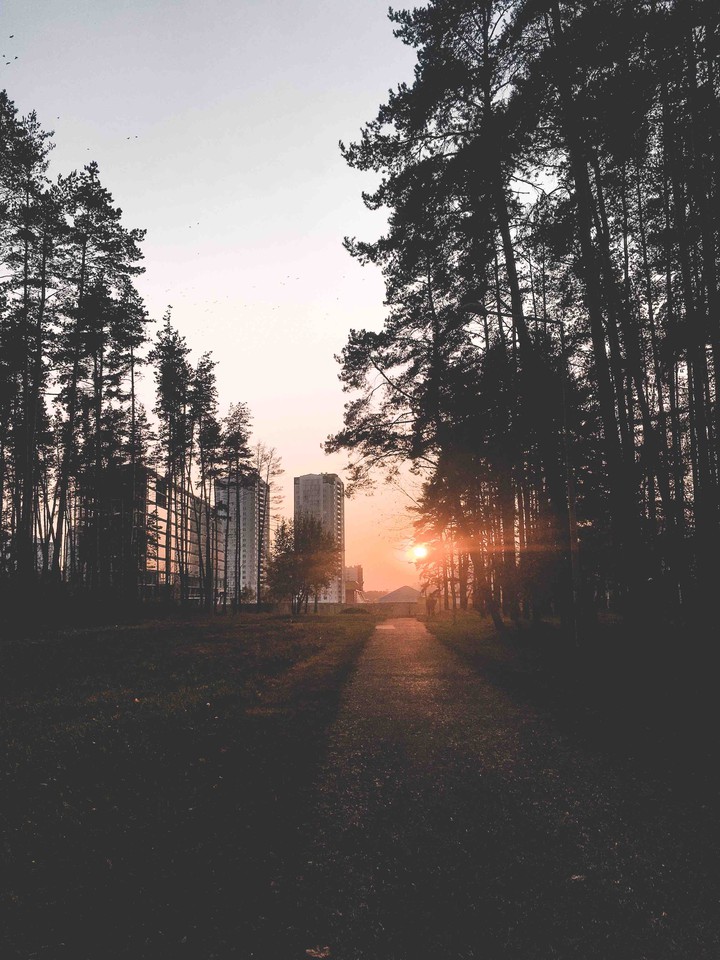 sunset lovers