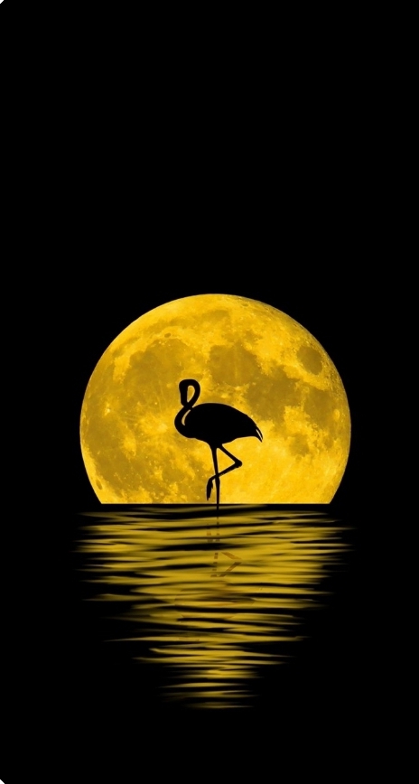 beautiful night