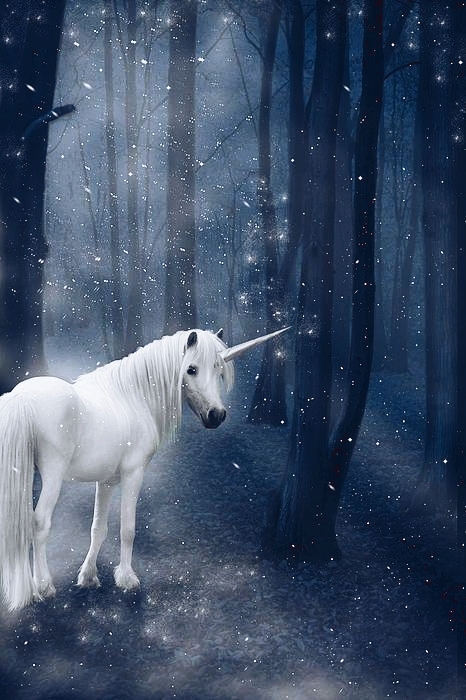 unicorn