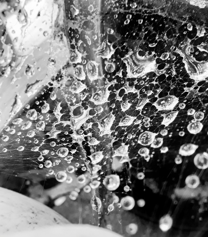 RainDrops