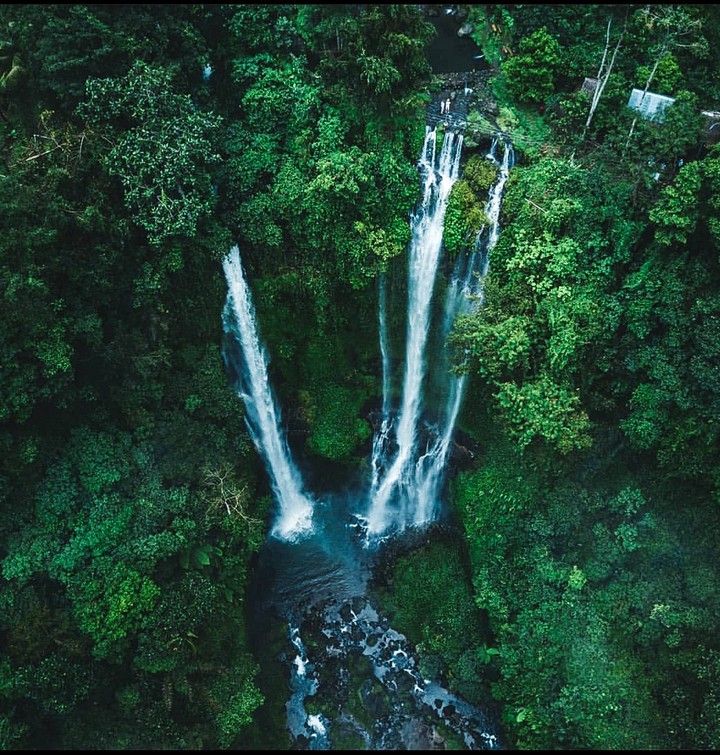 Inside the nature