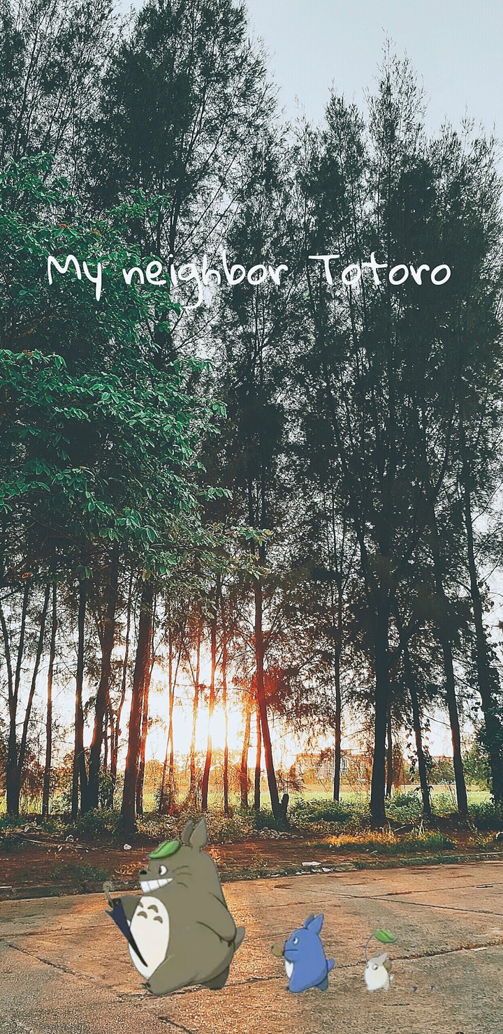 album my neighbor totoro