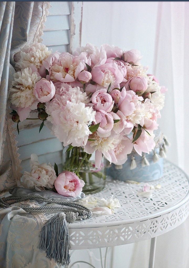 peony shabby