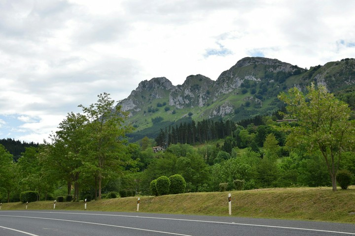 nature