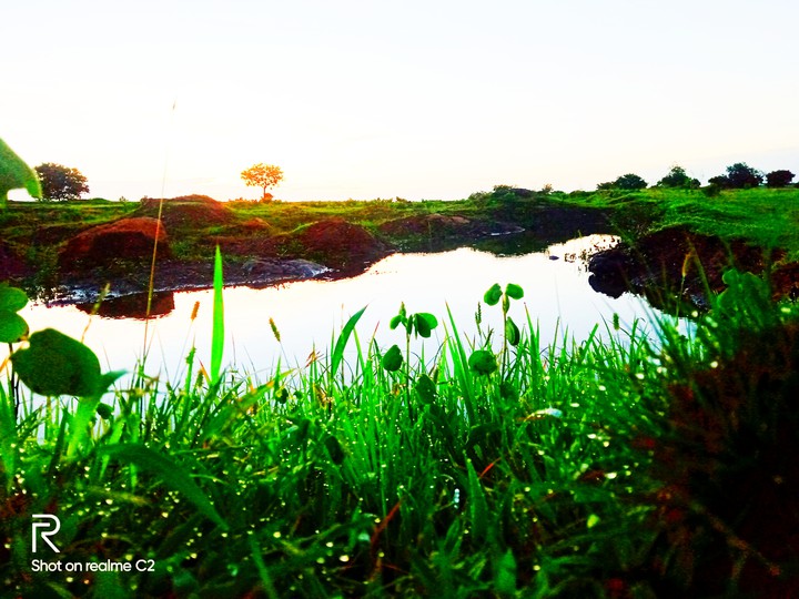 pond