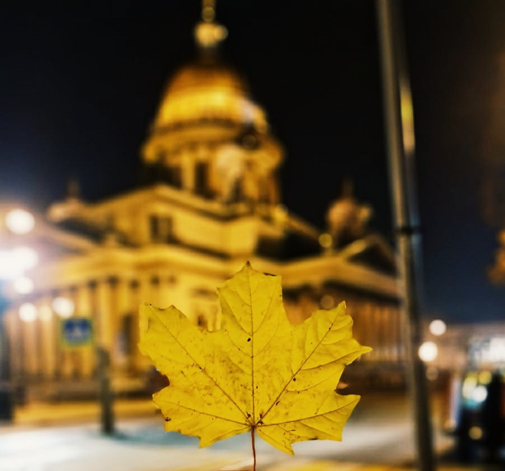 autumn in the St. Petersburg