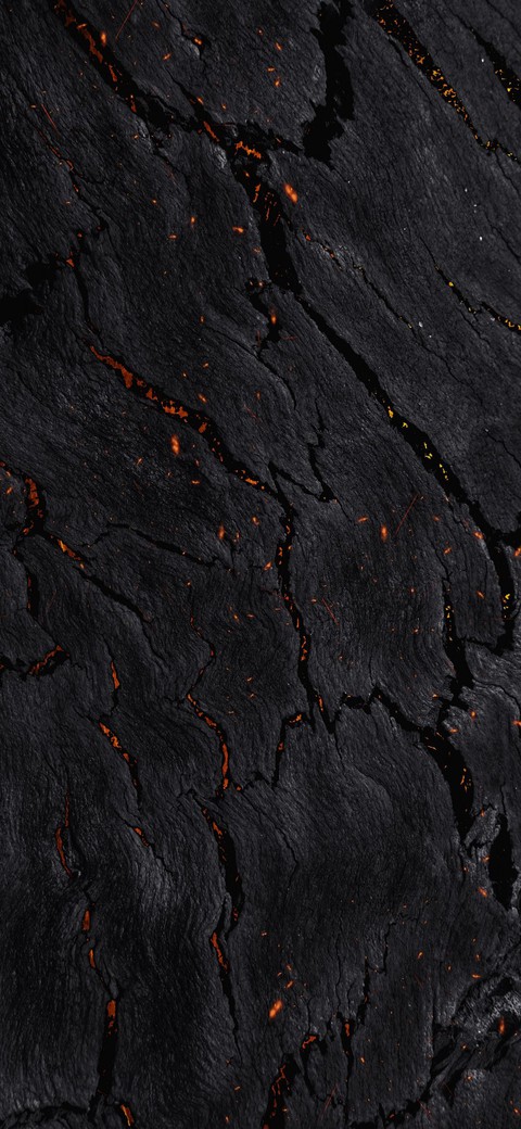 Wallpaper