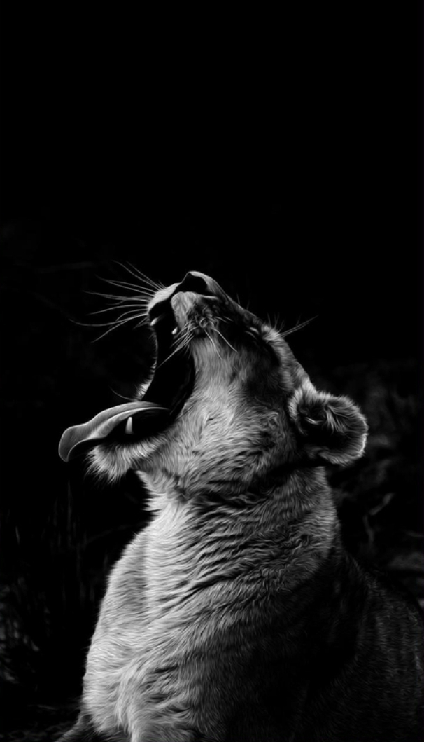 lion