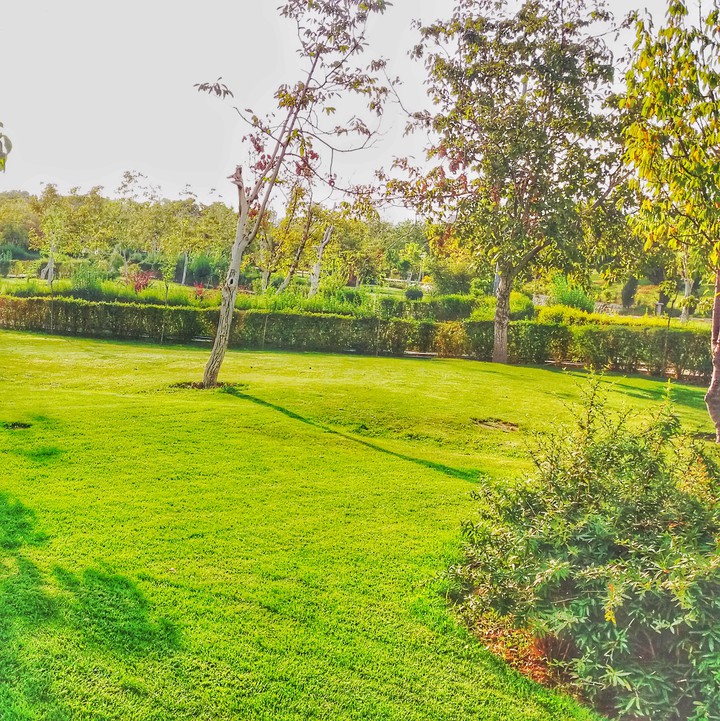 our local park and lovley view