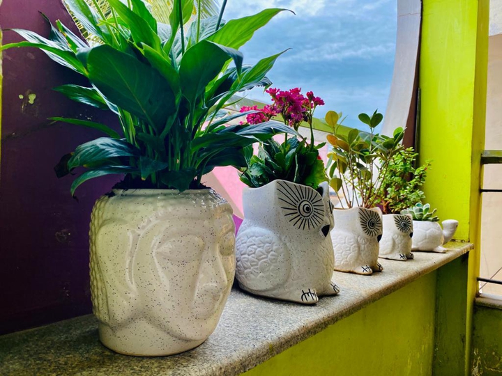 pot
