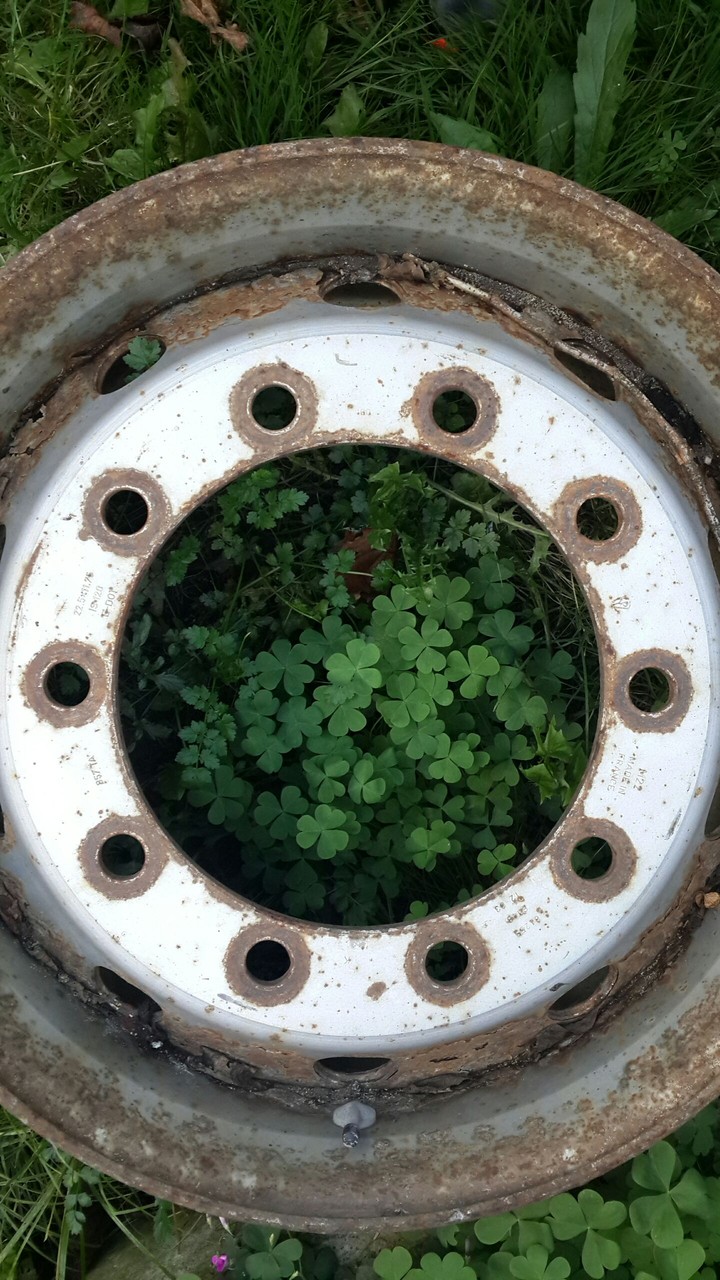 Nature 