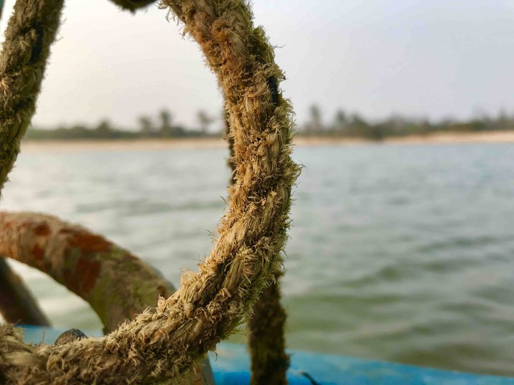 Fisherman’s rope - Chilika lake