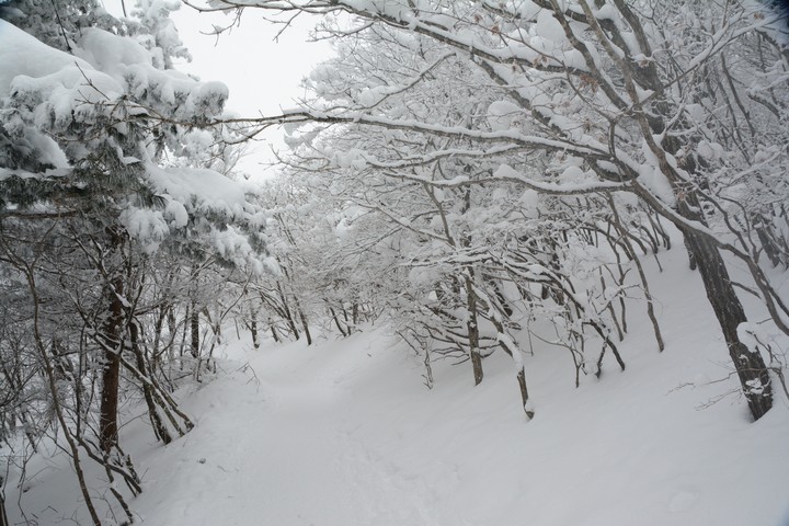 태백산이미지