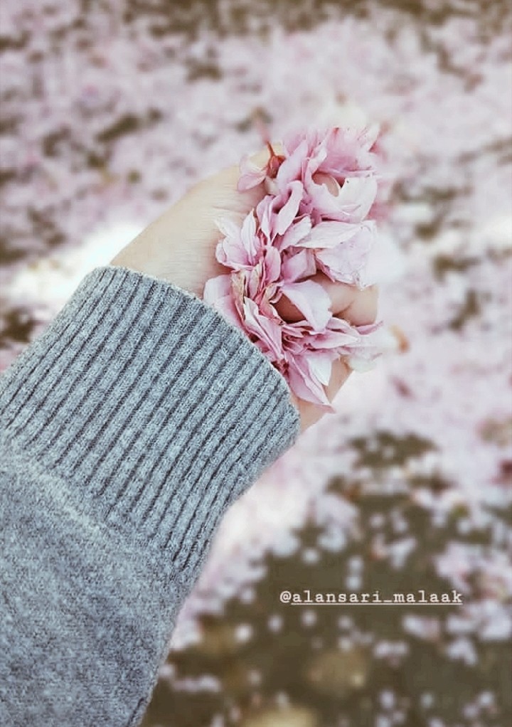 lovely
