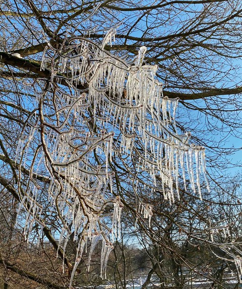 winter