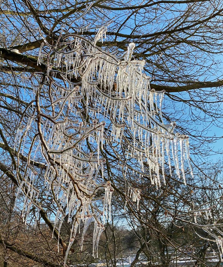 winter