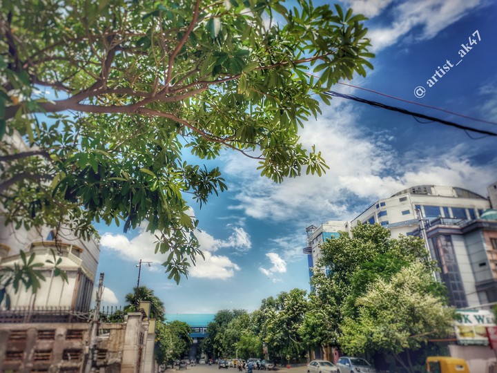 City Nature