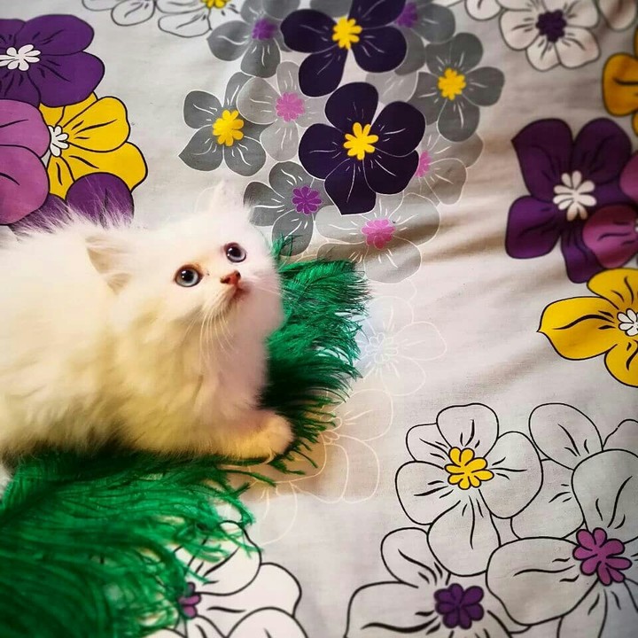 ❤